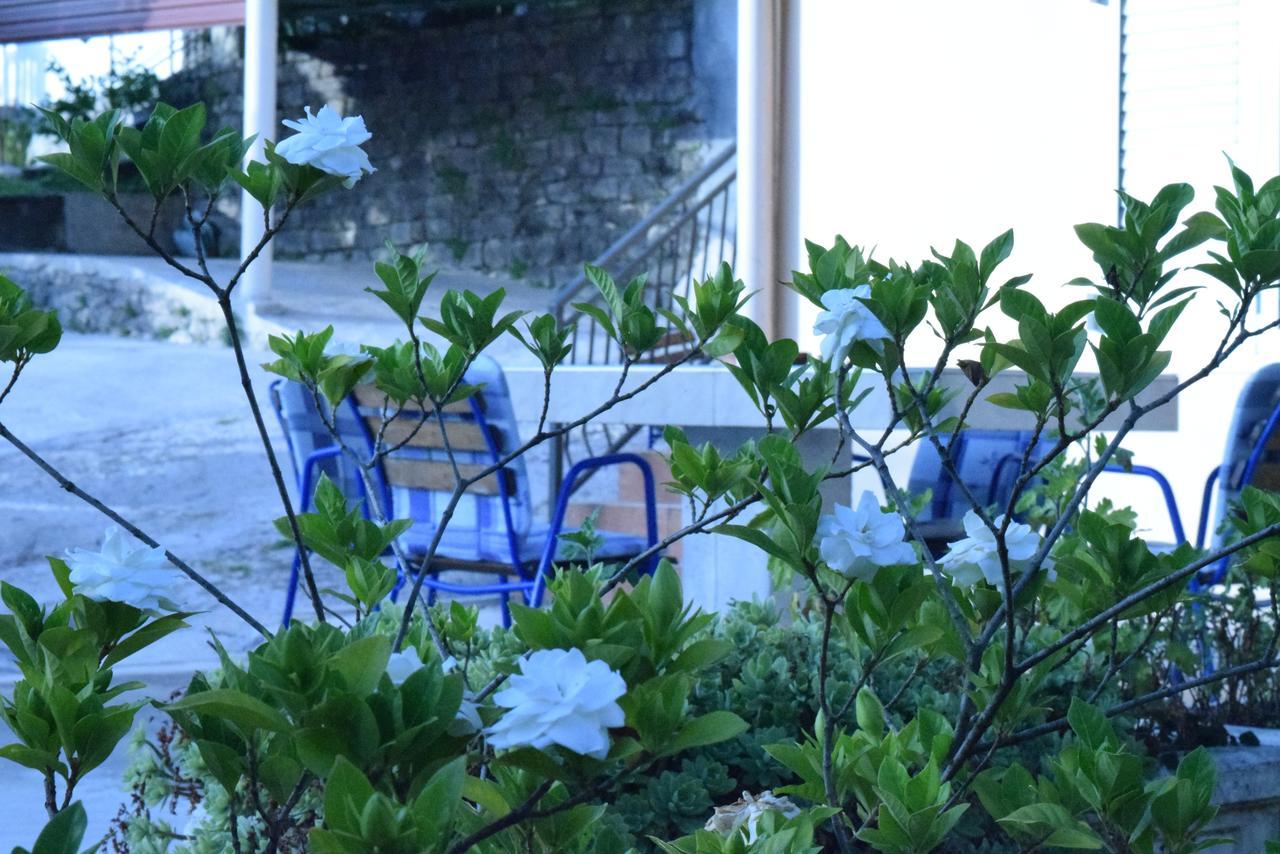 Apartment S&M Тиват Екстер'єр фото